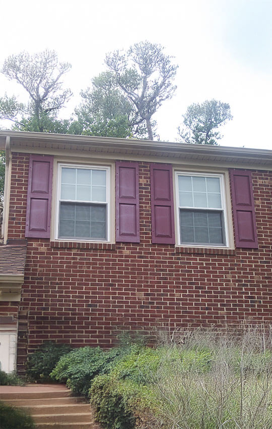 Arlington VA Replacement Windows