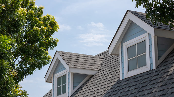 shingle damage