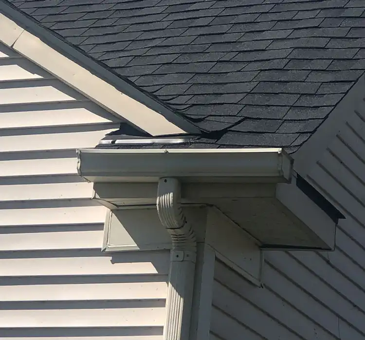 local options gutter replacement repair pic